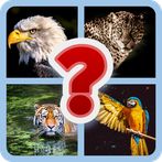 Guess Now - Word Trivia Quiz