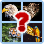 Guess Now - Word Trivia Quiz