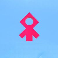 Symmetry Puzzle