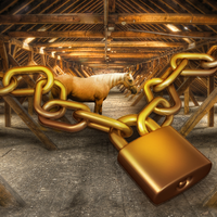 Escape Game - Lone Battle