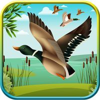 Duck Hunting 3D: Classic Hunt