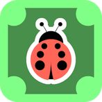 Sticks And Bug