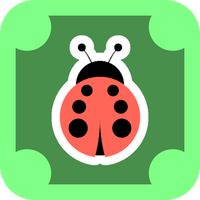 Sticks And Bug