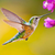 Wild Life