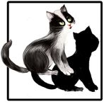 Tojo and Nelly Cat Puzzle