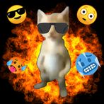 Pana Miguel The Game