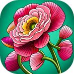 Anime Manga Coloring Book