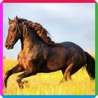 puzzle game horse