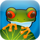 Jumpy Frogs