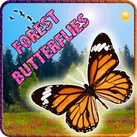 Forest Butterflies