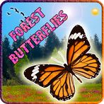 Forest Butterflies