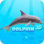 Dolphin 3D