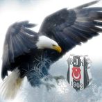 Beşiktaş Bilgi