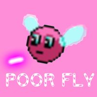 Poor Fly - Fun 2D Game