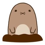 Fat Mole
