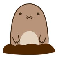 Fat Mole