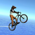 Epic Bike Run