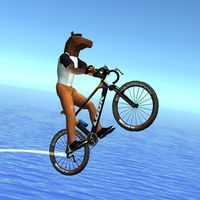 Epic Bike Run