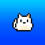 달리는 고양이는 귀엽지