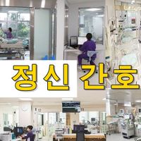 정신간호학 용어 퀴즈100