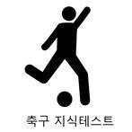 축구 지식테스트