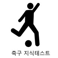 축구 지식테스트