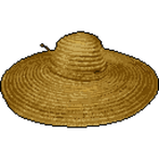 노무현 Roh Moo-hyun