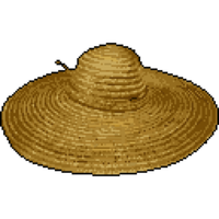 노무현 Roh Moo-hyun