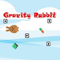 Gravity Rabbit
