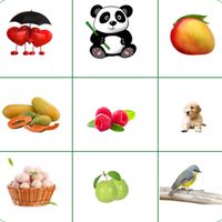 Brain Game. Match The Picture