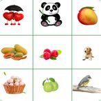 Brain Game. Match The Picture
