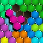 Hexagon Puzzle