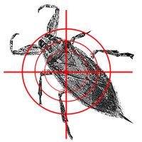 Bugs Killer! Tap to shoot