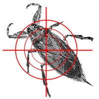 Bugs Killer! Tap to shoot