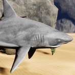 Happy Bull Shark Simulator