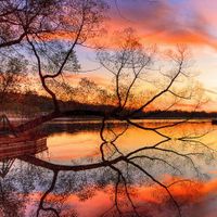 Image Puzzle - Nature