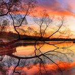 Image Puzzle - Nature