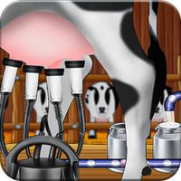 Dairy Farm Milk Butter Factory