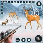 Wild Hunter Animal Hunting
