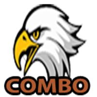 콤보윙