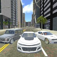 Drive and Drift Simulator