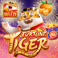 Tiger camera victory