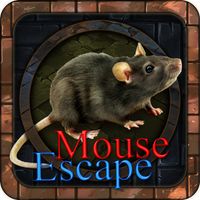 Escape Trip 316- Black Mouse