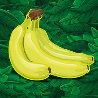 Rette das Grundgesetz - bewahr