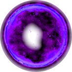 The Unconscious Wife