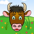 Spanish Verb Conjugation