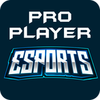 Pro Player Esport