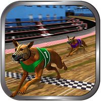 Crazy Real Dog Race: Greyhound