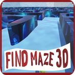 Find Maze 3D