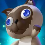 Shooter cat - Real-time combat